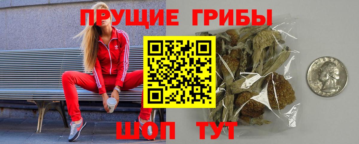 Галлюциногенные грибы Psilocybe Казань