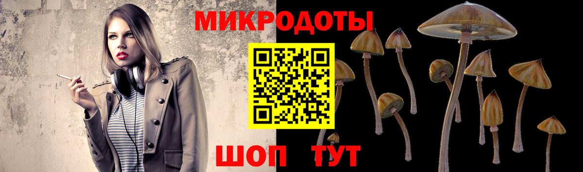 Галлюциногенные грибы GOLDEN TEACHER  Галлюциногенные грибы Psilocybine cubensis  Вход с VPN  Казань 
